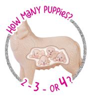 Panenka Steffi Welcome Puppies